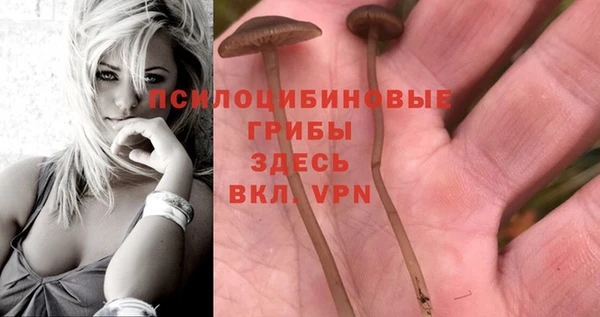 эйфоретик Белоозёрский