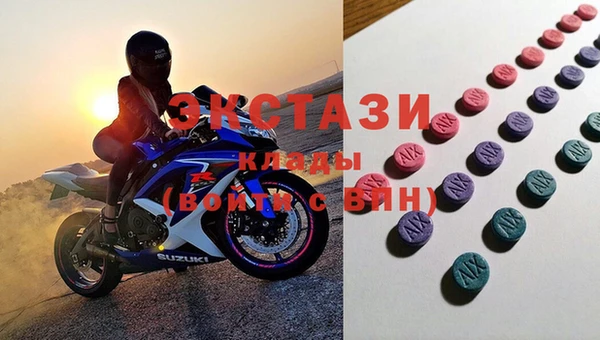 крисы Надым