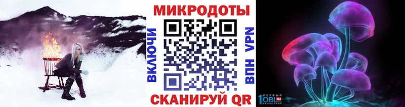 Купить где  Балахна  Псилоцибиновые грибы Psilocybe 